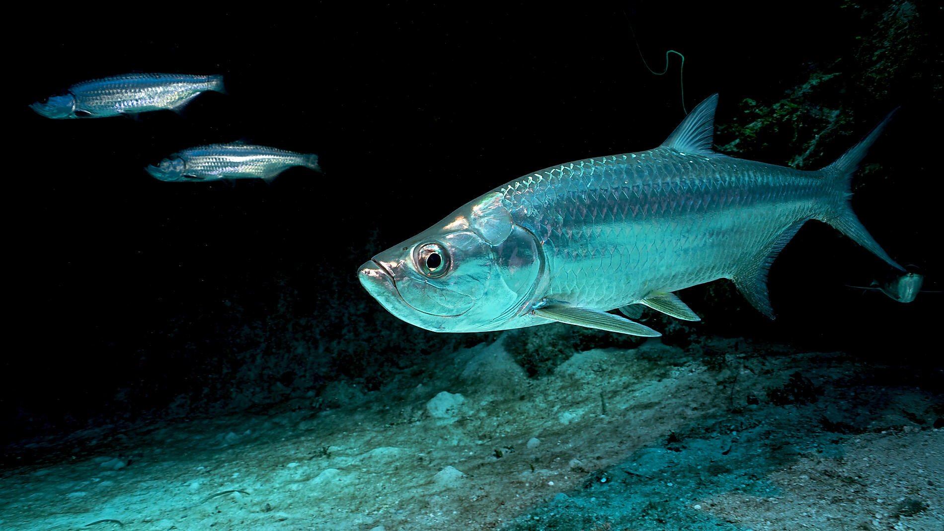 AdobeStock_188628364 (1).jpeg