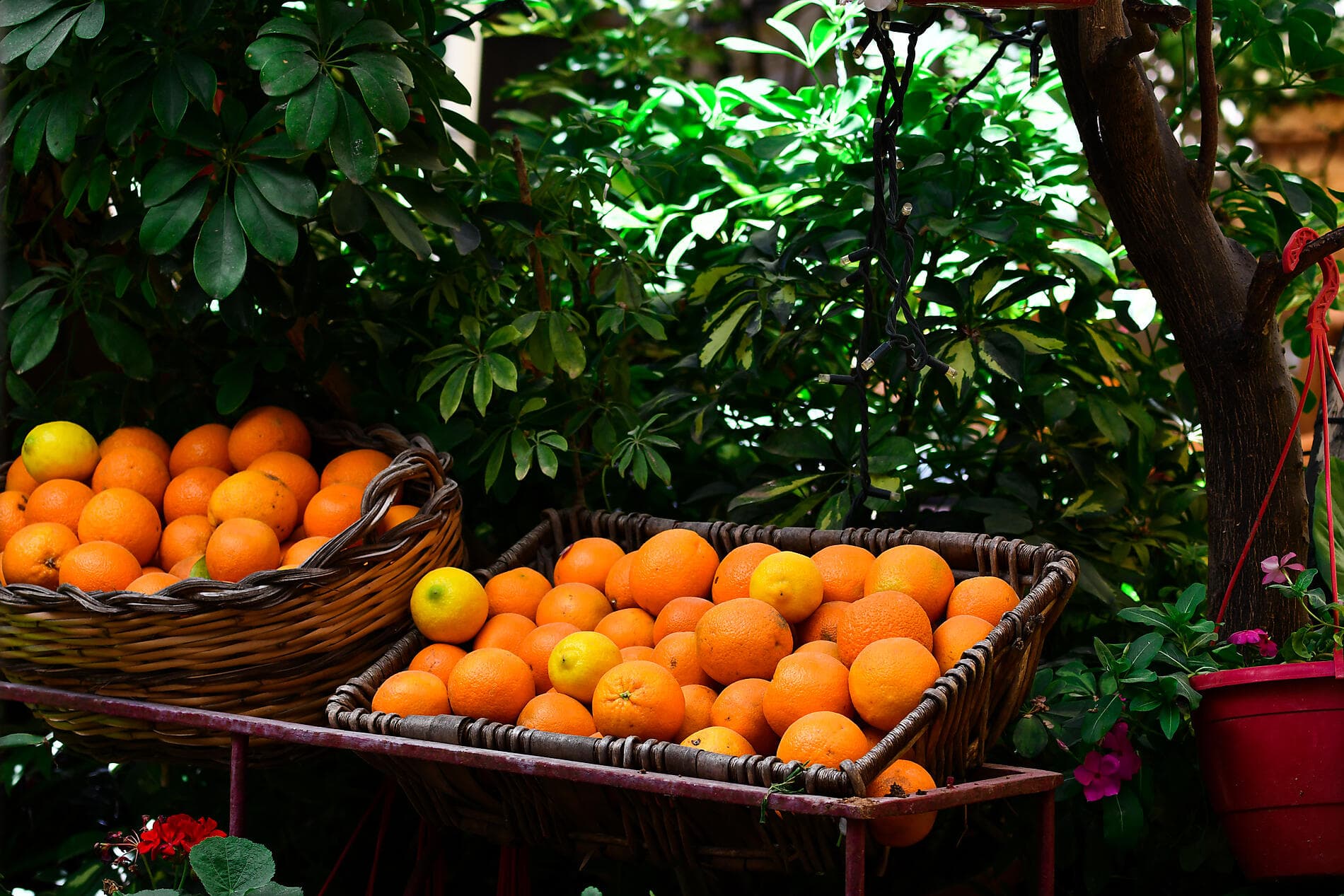  La grande Bleue, au fil des civilisations 