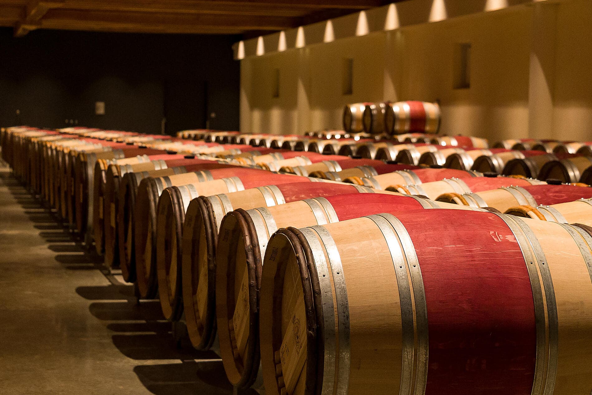 Saveurs, vignes et océan