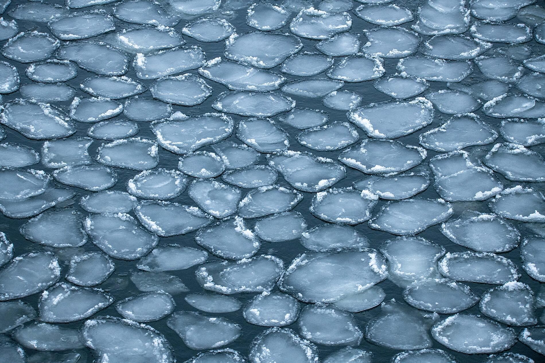 Le golfe de Botnie, aux portes de l'Arctique