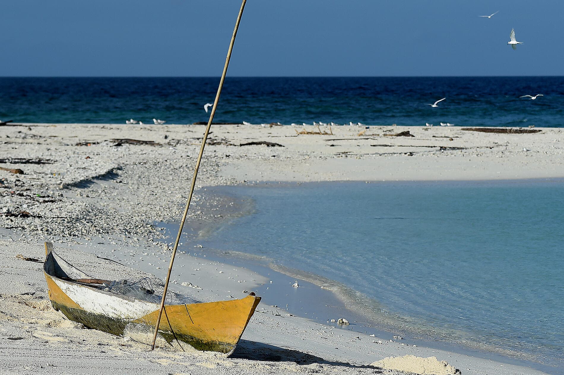 Odyssée tropicale entre Indonésie et nord-est Australien 