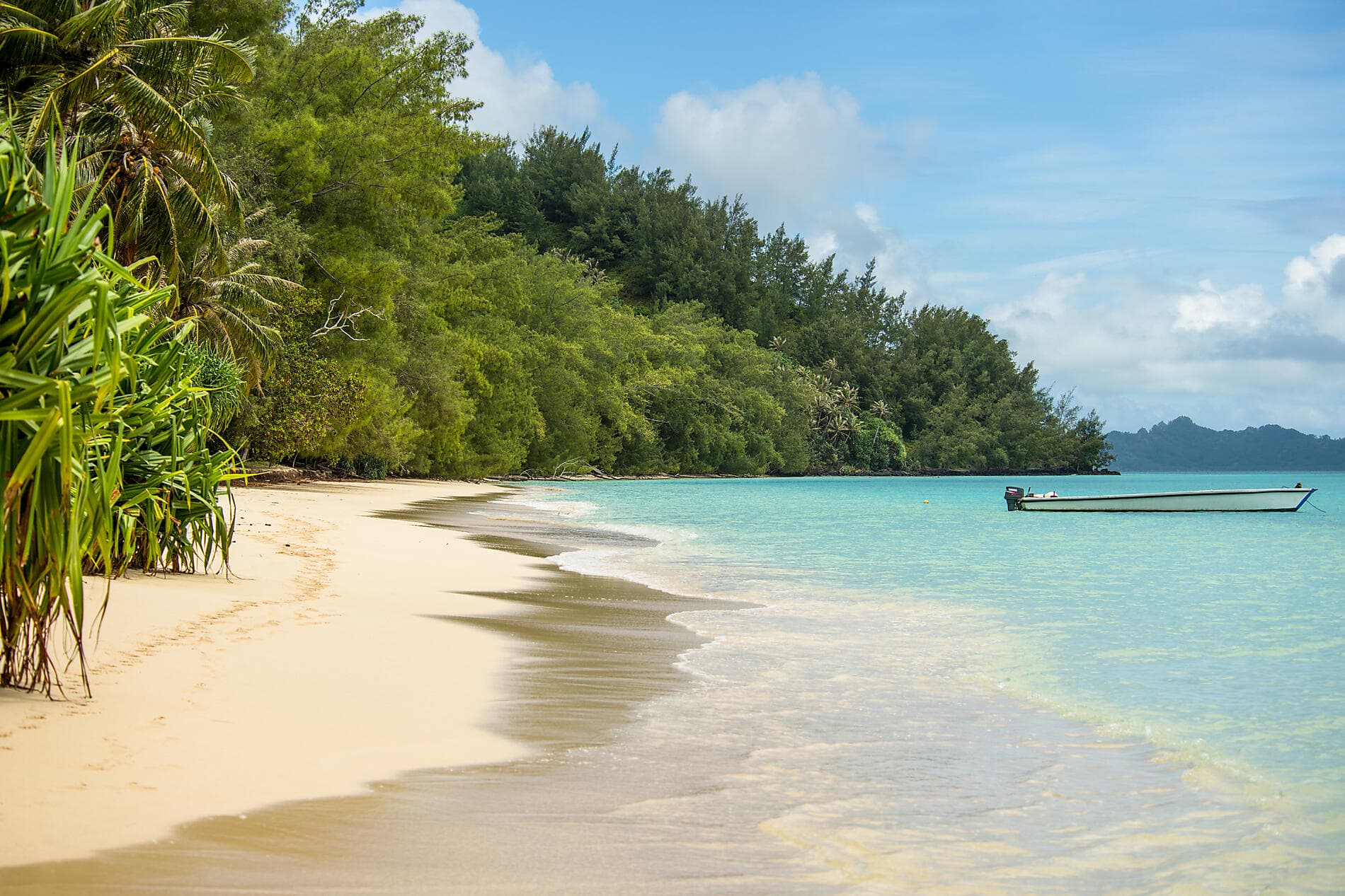 Polynésie française confidentielle et île Pitcairn