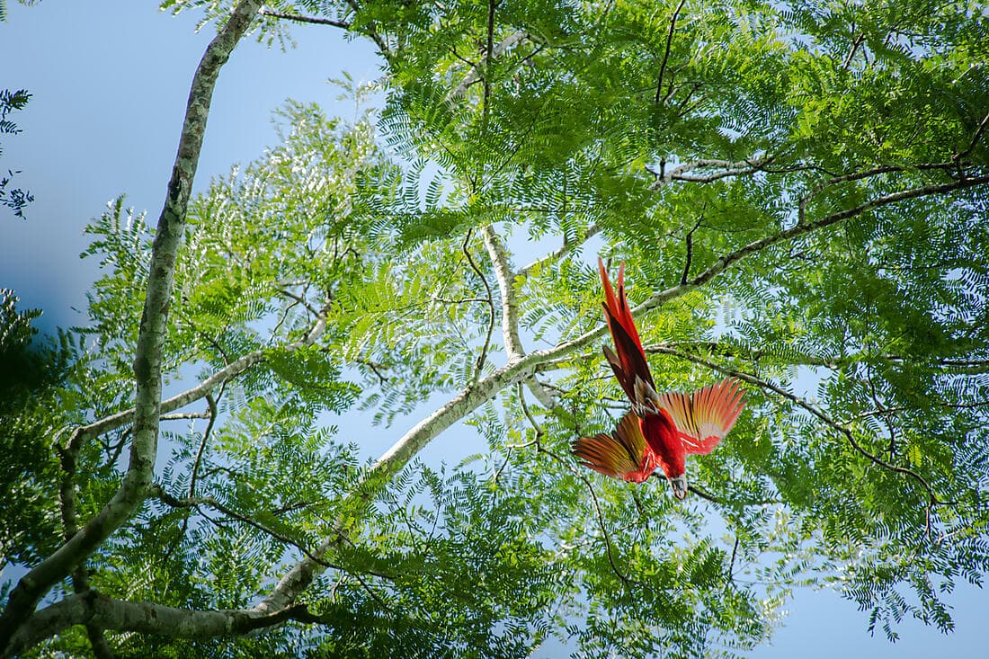Côte pacifique du Costa Rica
