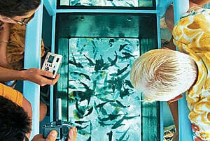 Bateau à fond vitré