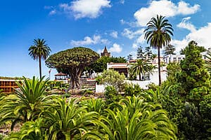 Les jardins de Tenerife