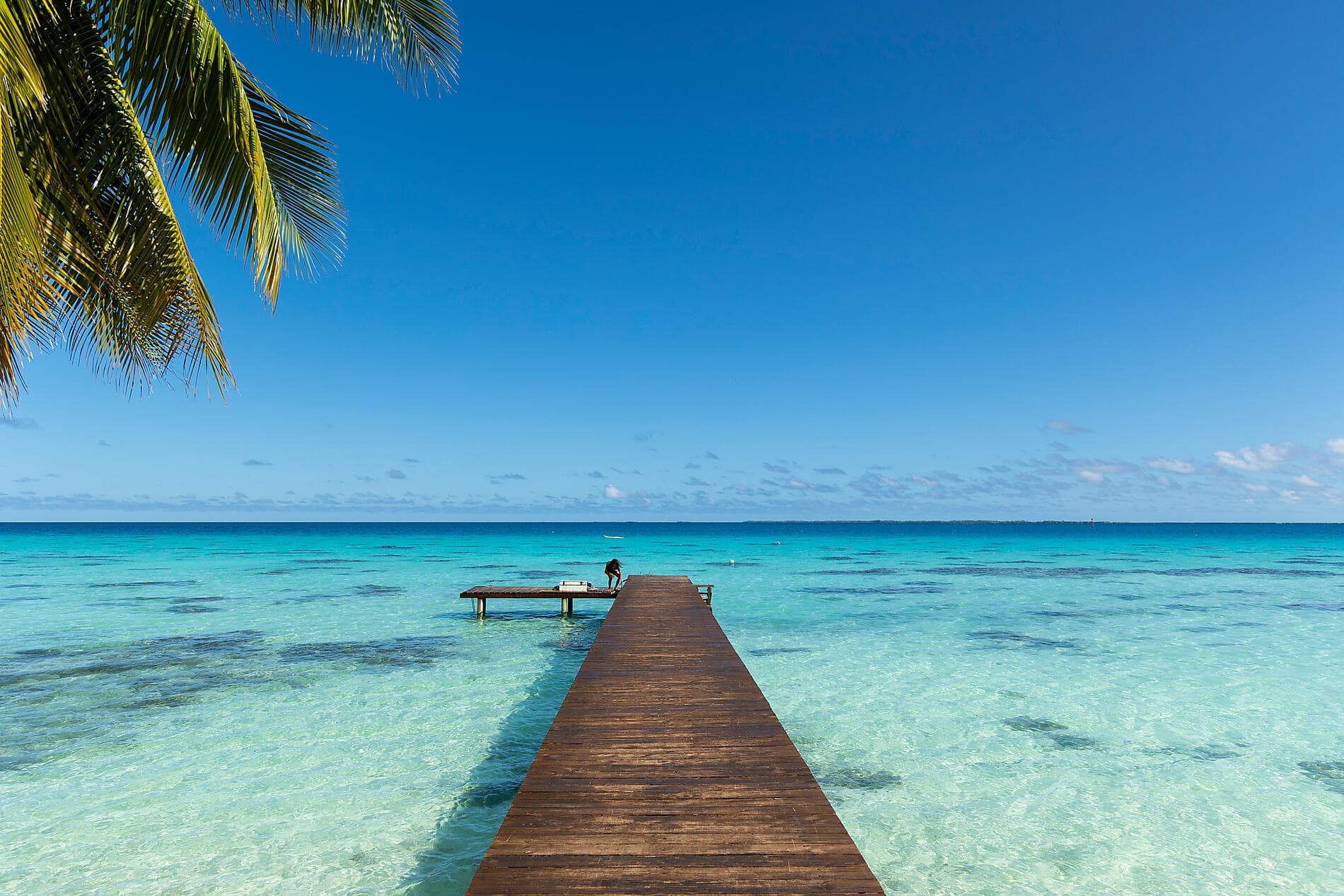 Douceur polynésienne : Marquises, Tuamotu et îles de la Société 