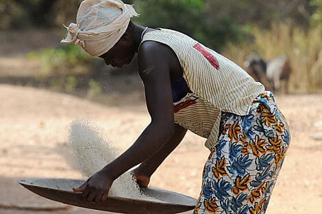 21 Nov 26 > 20 Nov 26 - Île Carache, Bijagos